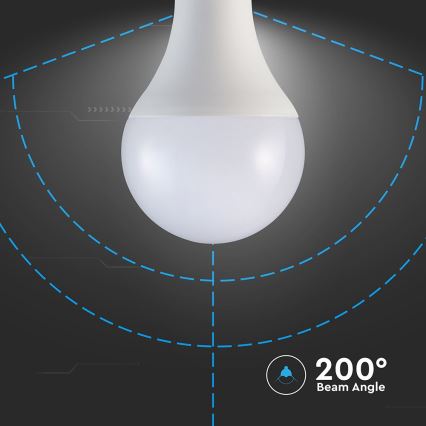 LED sijalica A80 E27/20W/230V 6500K