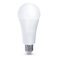 LED sijalica E27/22W/230V 3000K