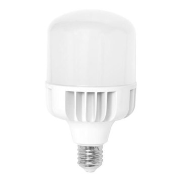 LED sijalica E40/50W/230V 5000K - Ecolite
