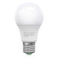 LED sijalica ECOLINE A60 E27/10W/230V 4000K - Brilagi