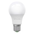 LED sijalica ECOLINE A60 E27/15W/230V 6500K - Brilagi
