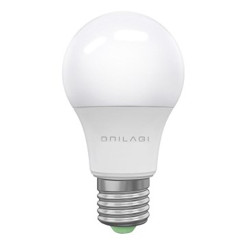 LED sijalica ECOLINE A60 E27/15W/230V 6500K - Brilagi
