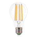 LED sijalica FILAMENT A60 E27/8W/230V 2700K - Aigostar