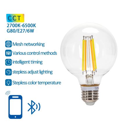 Prigušiva LED sijalica FILAMENT MESH Smart G80 E27/6W/230V 2700-6500K - Aigostar