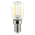 LED sijalica FILAMENT ST26 E14/2W/230V 4000K