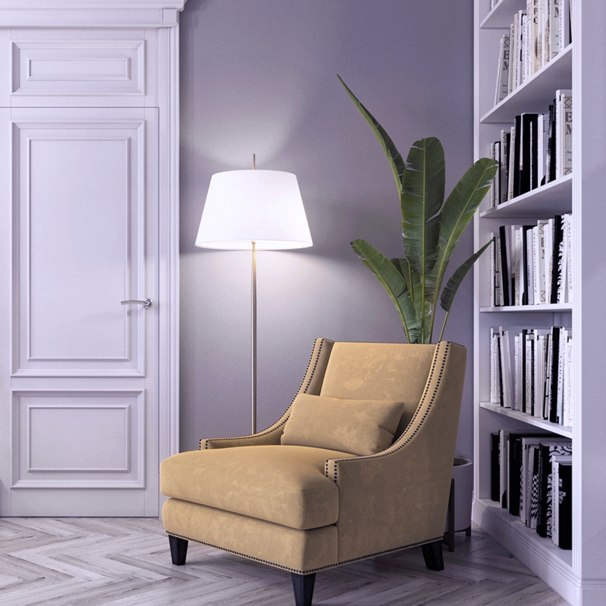 LED sijalica G120 E27/24W/230V 6500K - Aigostar