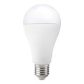 LED sijalica GS E27/17W/230V 6500K