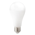 LED sijalica GS E27/22W/230V 6500K