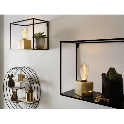 LED sijalica INNER ST64 E27/3,5W/230V 1800K - Paulmann 28885