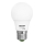 LED sijalica LEDSTAR ECO A55 E27/7W/230V 4000K