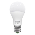 LED sijalica LEDSTAR ECO A65 E27/20W/230V 3000K