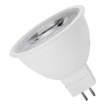 LED sijalica MR16 GU5,3/6W/12V 4000K 55° bela