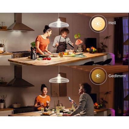 LED sijalica Philips Hue WHITE E67 E27/15,5W/230V 2700K