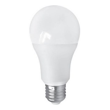 LED sijalica PITT A60 AC/DC E27/12W/24V 4000K