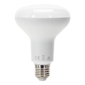 LED sijalica R90 E27/15W/230V 6500K - Aigostar