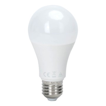 LED sijalica sa senzorom pokreta i sumraka A60 E27/9W/230V 6500K - Aigostar