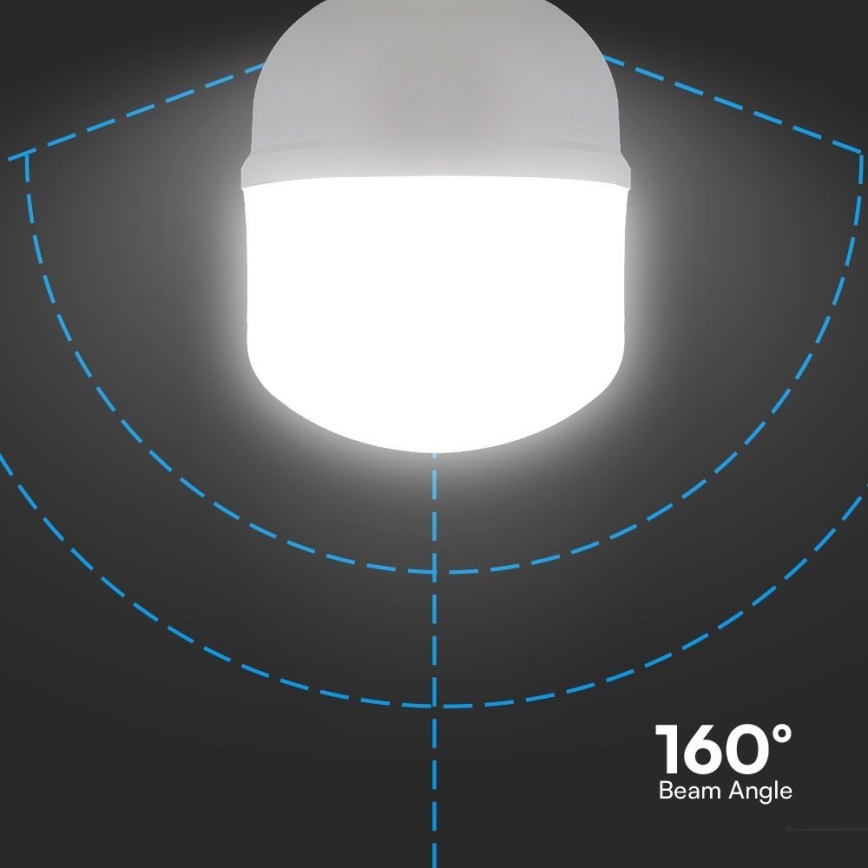 LED sijalica T120 E27/40W/230V 6500K