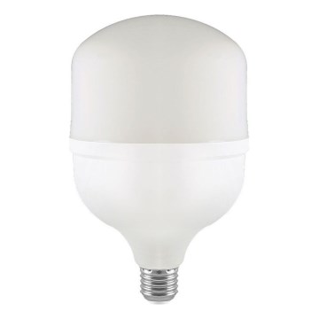 LED sijalica T160 E27/60W/230V 6500K