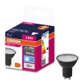 LED sijalica VALUE PAR16 GU10/6,9W/230V 6500K 36° crna - Ledvance