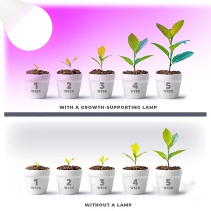 LED sijalica za rast biljaka PLANTY E27/11W/230V 1200K bela