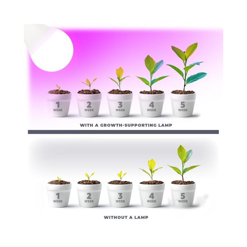 LED sijalica za rast biljaka PLANTY E27/11W/230V 1200K bela