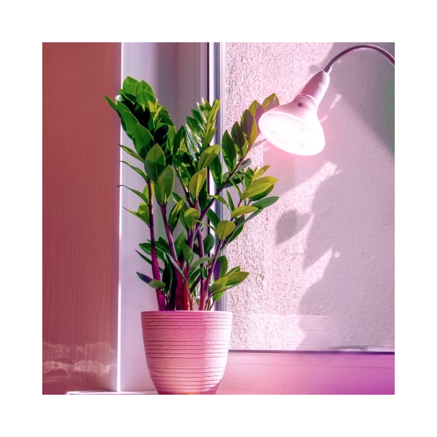 LED sijalica za rast biljaka PLANTY E27/7W/230V 1200K bela