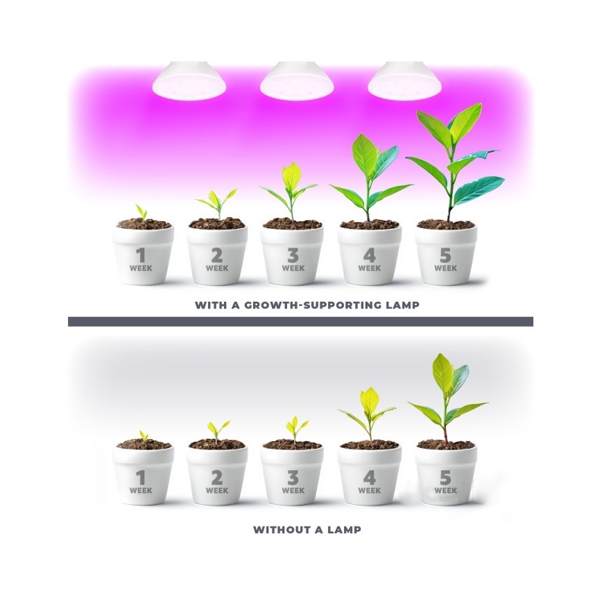 LED sijalica za rast biljaka PLANTY E27/7W/230V 1200K bela