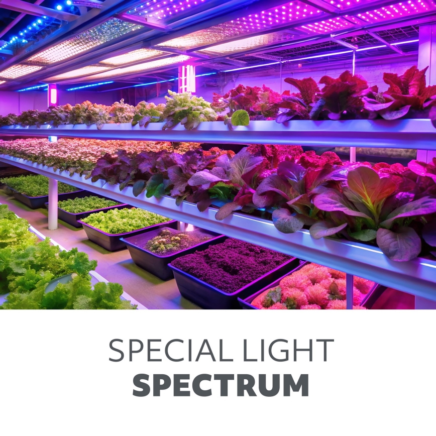 LED sijalica za rast biljaka PLANTY E27/9W/230V 1200K crna