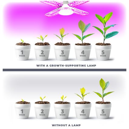 LED sijalica za rast biljaka VITABLOOM E27/40W/230V 1200K - Brilagi