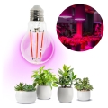 LED sijalica za rast biljaka VITABLOOM E27/8W/230V 1200K - Brilagi