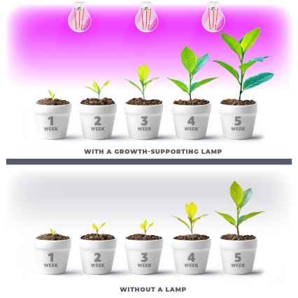 LED sijalica za rast biljaka VITABLOOM E27/8W/230V 1200K - Brilagi