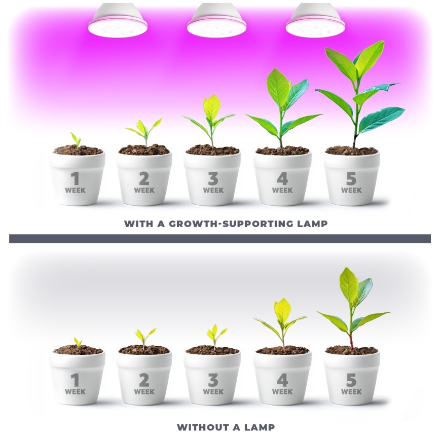 LED sijalica za rast biljaka VITABLOOM E27/9W/230V 1200K bela - Brilagi