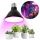 LED sijalica za rast biljaka VITABLOOM E27/9W/230V 1200K crna - Brilagi