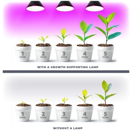 LED sijalica za rast biljaka VITABLOOM E27/9W/230V 1200K crna - Brilagi