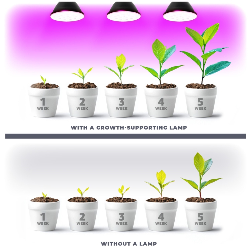 LED sijalica za rast biljaka VITABLOOM E27/9W/230V 1200K crna - Brilagi