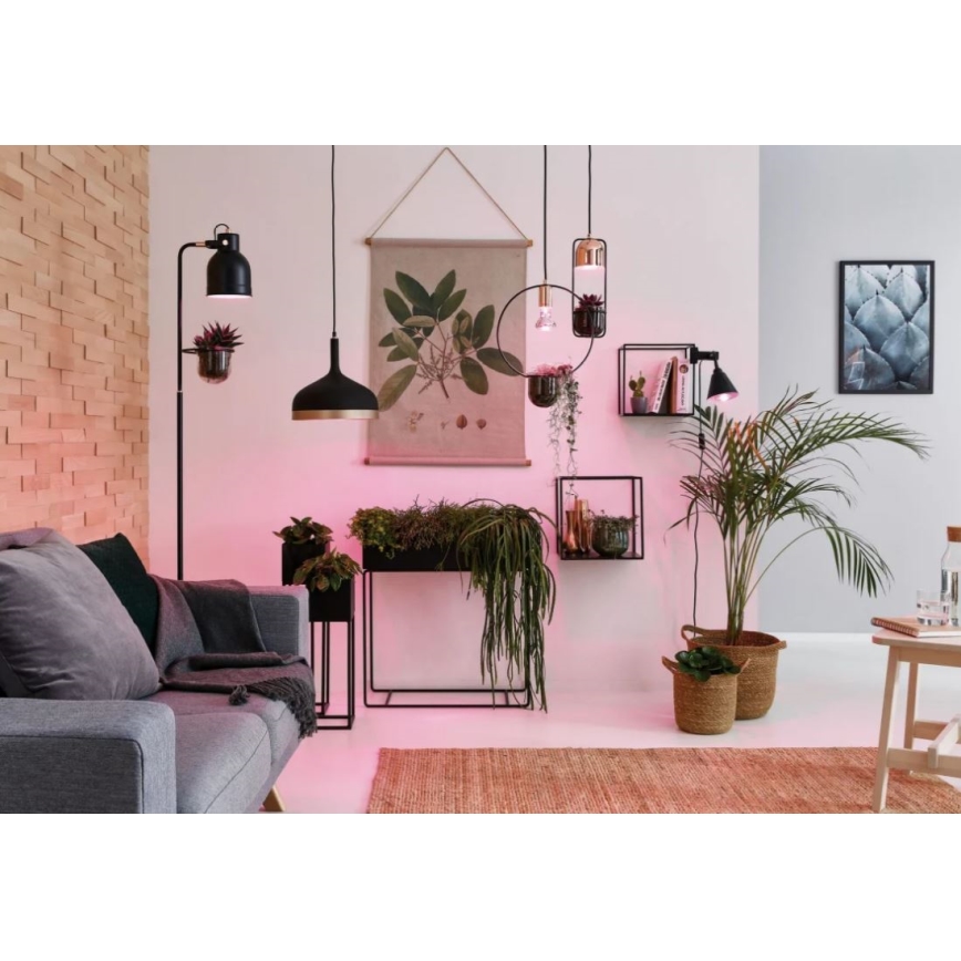 LED sijalica za uzgoj biljaka GROW GREEN R50 E14/4W/230V - Paulmann 28734