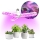 LED sijalica za uzgoj biljaka PLANTY E27/24W/230V 1200K