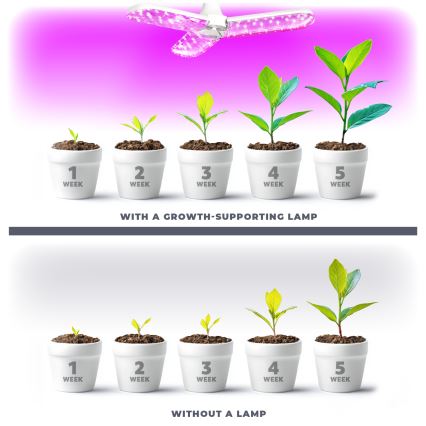 LED sijalica za uzgoj biljaka PLANTY E27/24W/230V 1200K