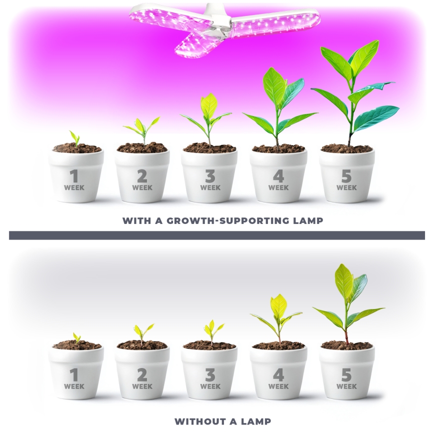 LED sijalica za uzgoj biljaka PLANTY E27/24W/230V 1200K