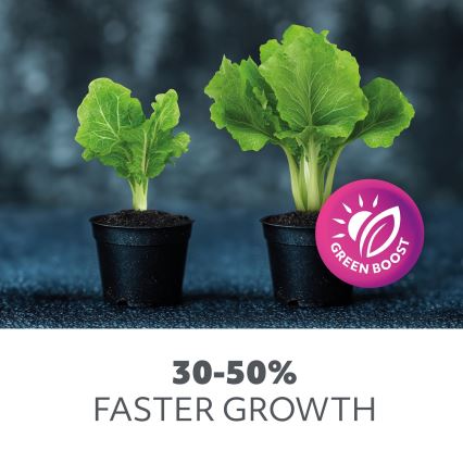 LED sijalica za uzgoj biljaka PLANTY E27/24W/230V 1200K