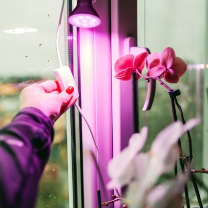 LED sijalica za uzgoj biljaka PLANTY E27/7W/230V 1200K crna