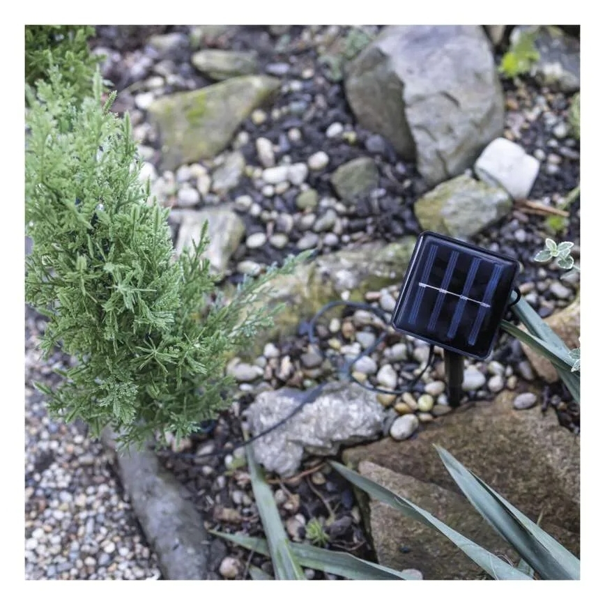 LED solarna dekoracija 50xLED/3W/1,2V 600 mAh IP44