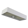 LED solarni reflektor sa senzorom pokreta, LED 3,7 V 3000 mAh, 4000 K, IP65, bela