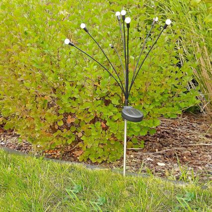 LED solarno svetlo FIORINI 8xLED/1,2V 600 mAh IP44 crno