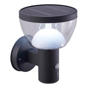 LED solarno zidno svetlo za spoljašnju upotrebu sa senzorom LARIX LED/3W/3,7V 2200 mAh IP44