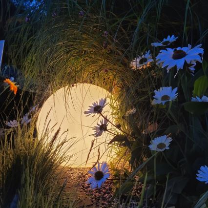 LED spoljašnja lampa GLOBO 1xE27/9W/230V prečnik 40 cm IP44