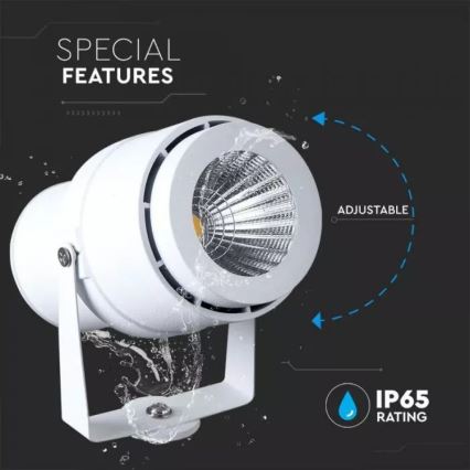 LED spoljašnja lampa LED/12W/100-240V IP65, bela - zeleno svetlo