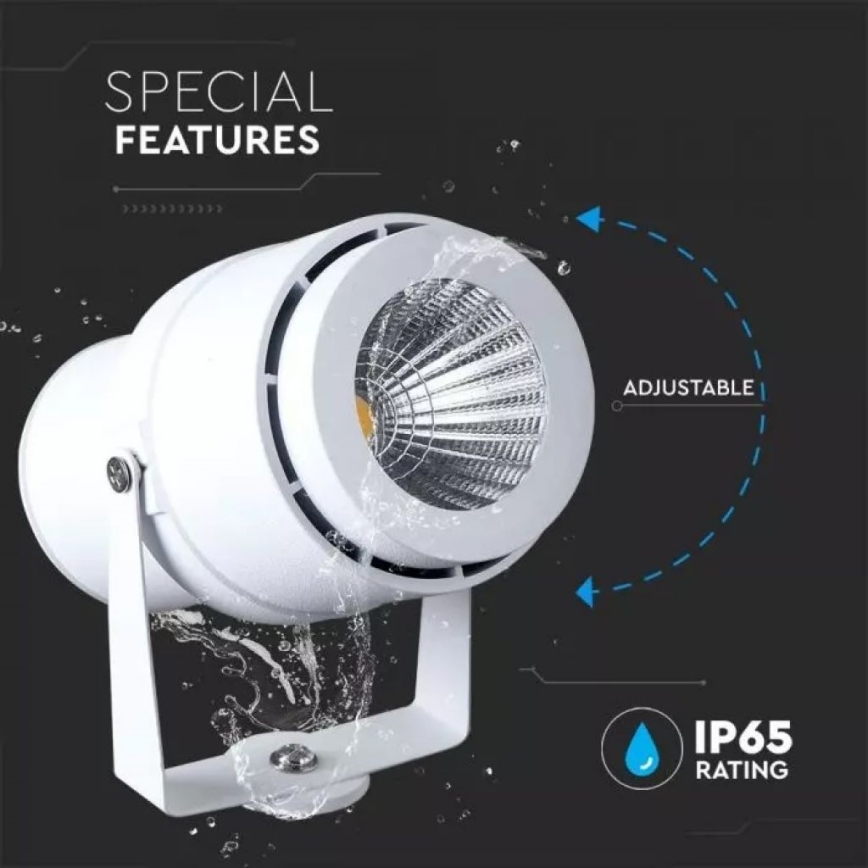LED spoljašnja lampa LED/12W/100-240V IP65, bela - zeleno svetlo