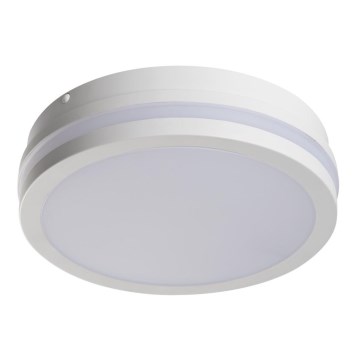 LED spoljašnja svetiljka BENO LED/18W/230V 4000K bela IP54
