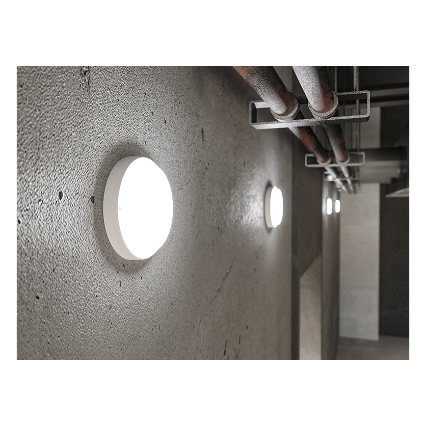 LED Spoljašnja zidna svetiljka LED/18W/230V IP54 bela